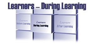 Learners - During Learning